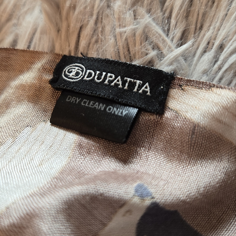 Dupatta 100% Silk Scarf NWT - Picture 8 of 9